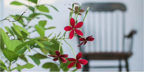 operational excellence